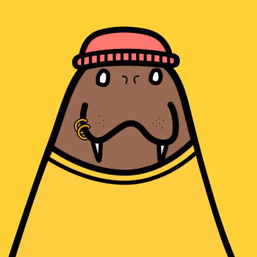Cute Walrus Club
