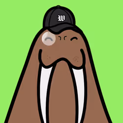 Cute Walrus #4164