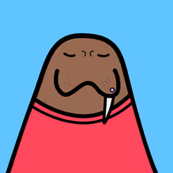 Cute Walrus #3538