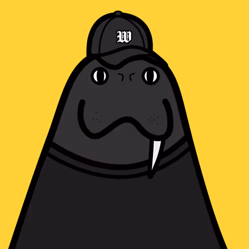 Cute Walrus Club