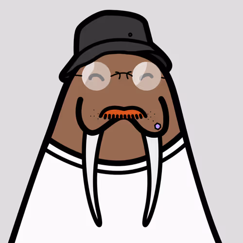 Cute Walrus Club