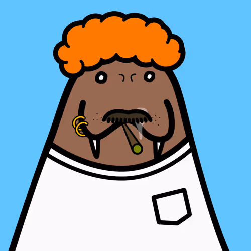 Cute Walrus Club