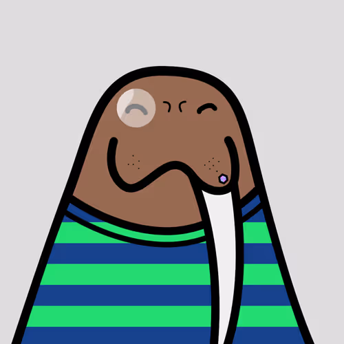 Cute Walrus Club