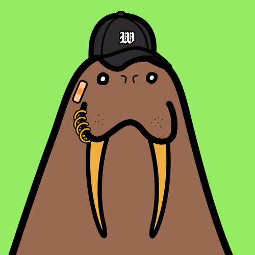 Cute Walrus Club