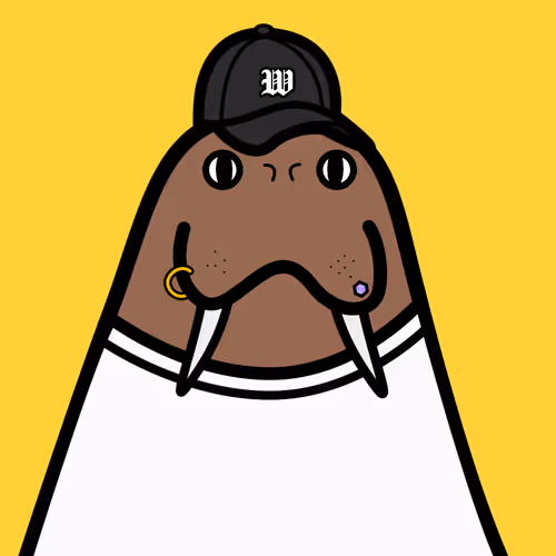 Cute Walrus Club