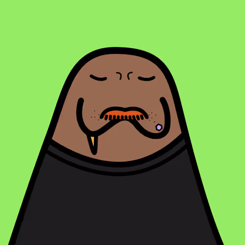 Cute Walrus Club