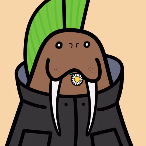Cute Walrus Club