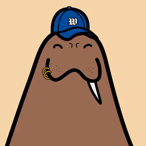 Cute Walrus Club