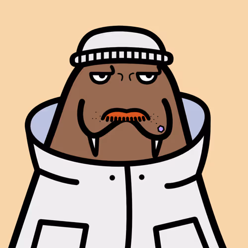 Cute Walrus Club