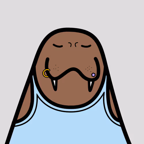 Cute Walrus Club
