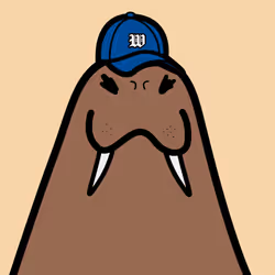 Cute Walrus #3047