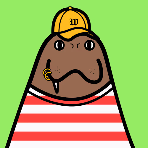 Cute Walrus Club