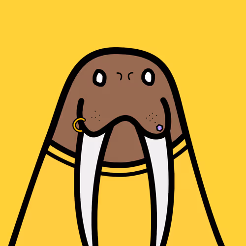 Cute Walrus Club