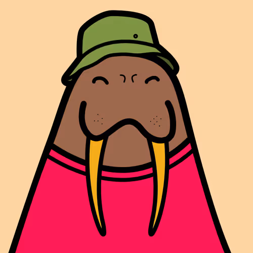 Cute Walrus Club