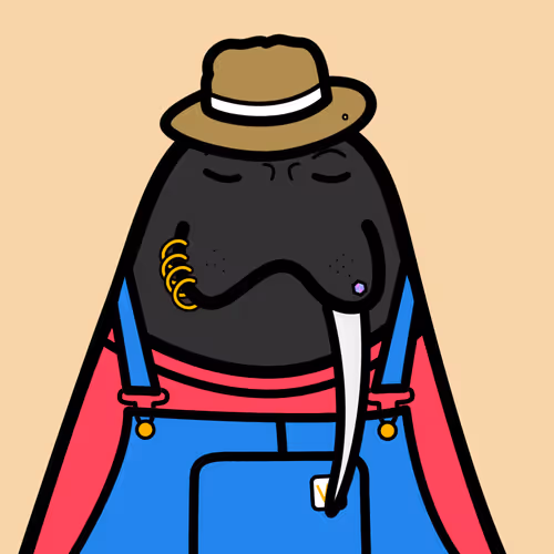 Cute Walrus Club