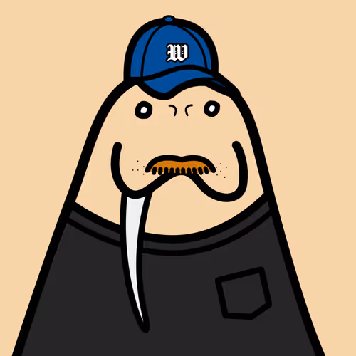 Cute Walrus Club
