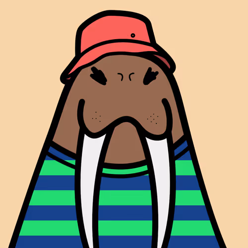 Cute Walrus Club