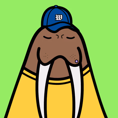 Cute Walrus Club