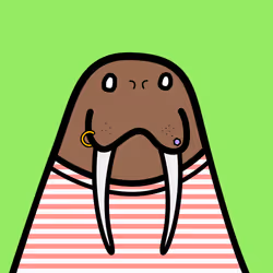 Cute Walrus #3886