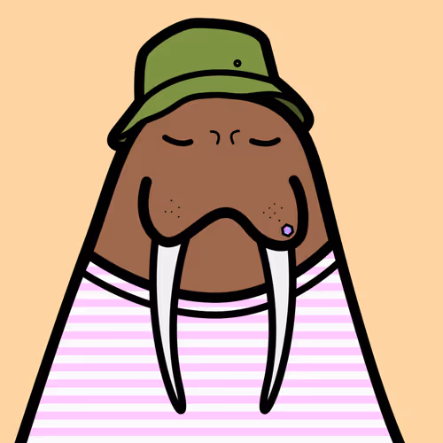 Cute Walrus Club