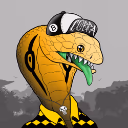Cobra #161