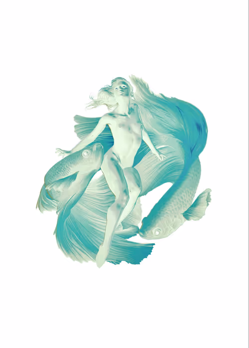 Item #31500020056 Media