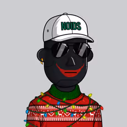 NOIDS #24