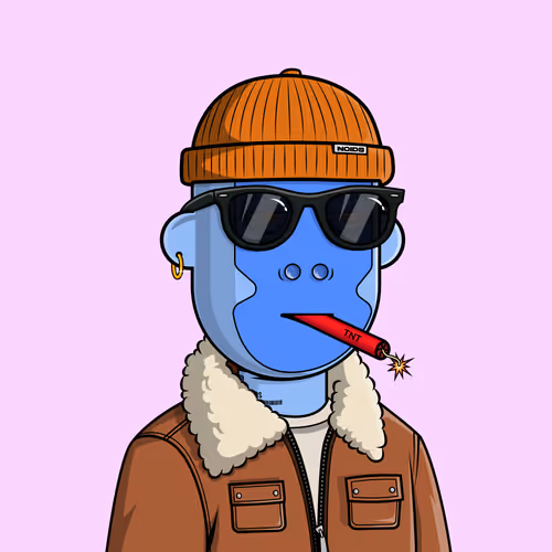Noidsofficial