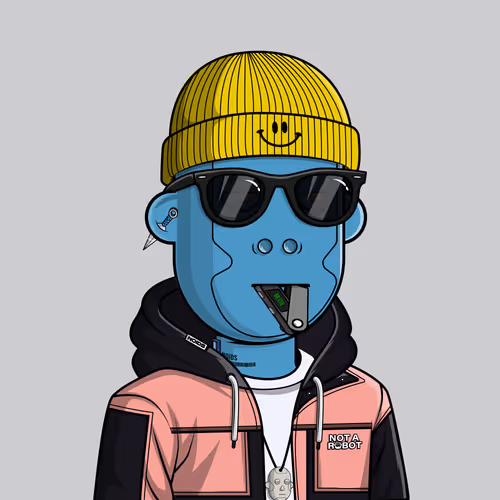 Noidsofficial