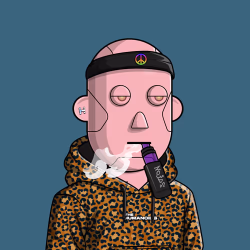 Noidsofficial