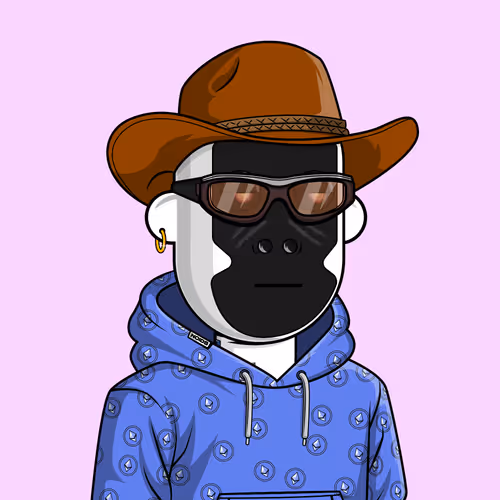 Noidsofficial