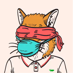 WTFoxes #65