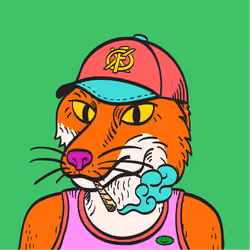 WTFoxes #196