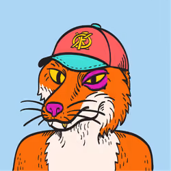 WTFoxes #1215