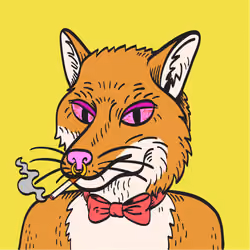 WTFoxes #507