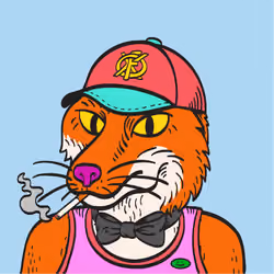 WTFoxes #904
