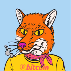 WTFoxes #2331