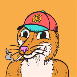 WTFoxes #1750