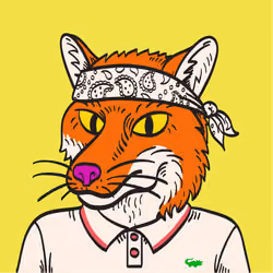 WTFoxes #1213