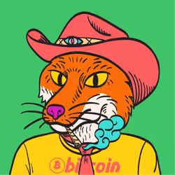 WTFoxes #2512