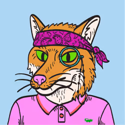 WTFoxes #1016