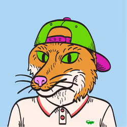 WTFoxes #947