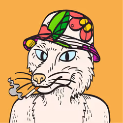 WTFoxes #1247