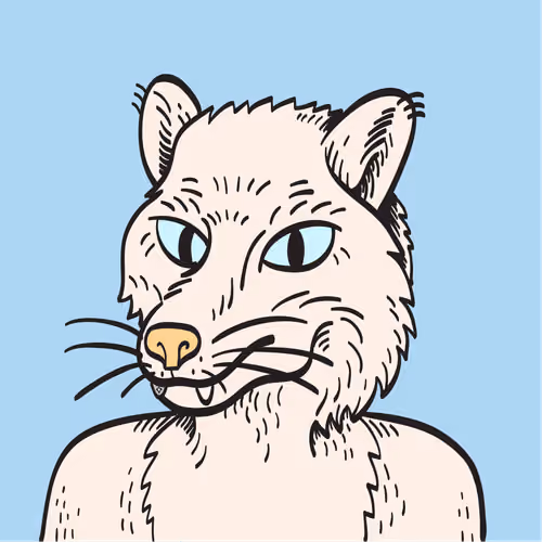 WTFoxes #2010