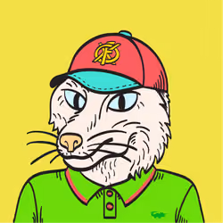 WTFoxes #1338