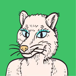 WTFoxes #1819