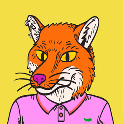 WTFoxes #1136