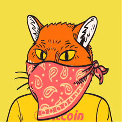 WTFoxes #67