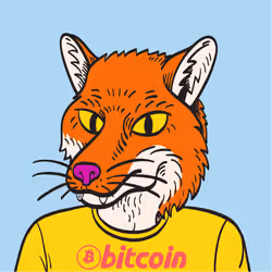 WTFoxes #1882