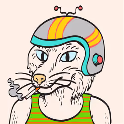 WTFoxes #1448